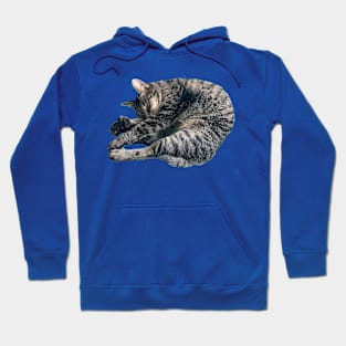 Sleeping Tabby Hoodie